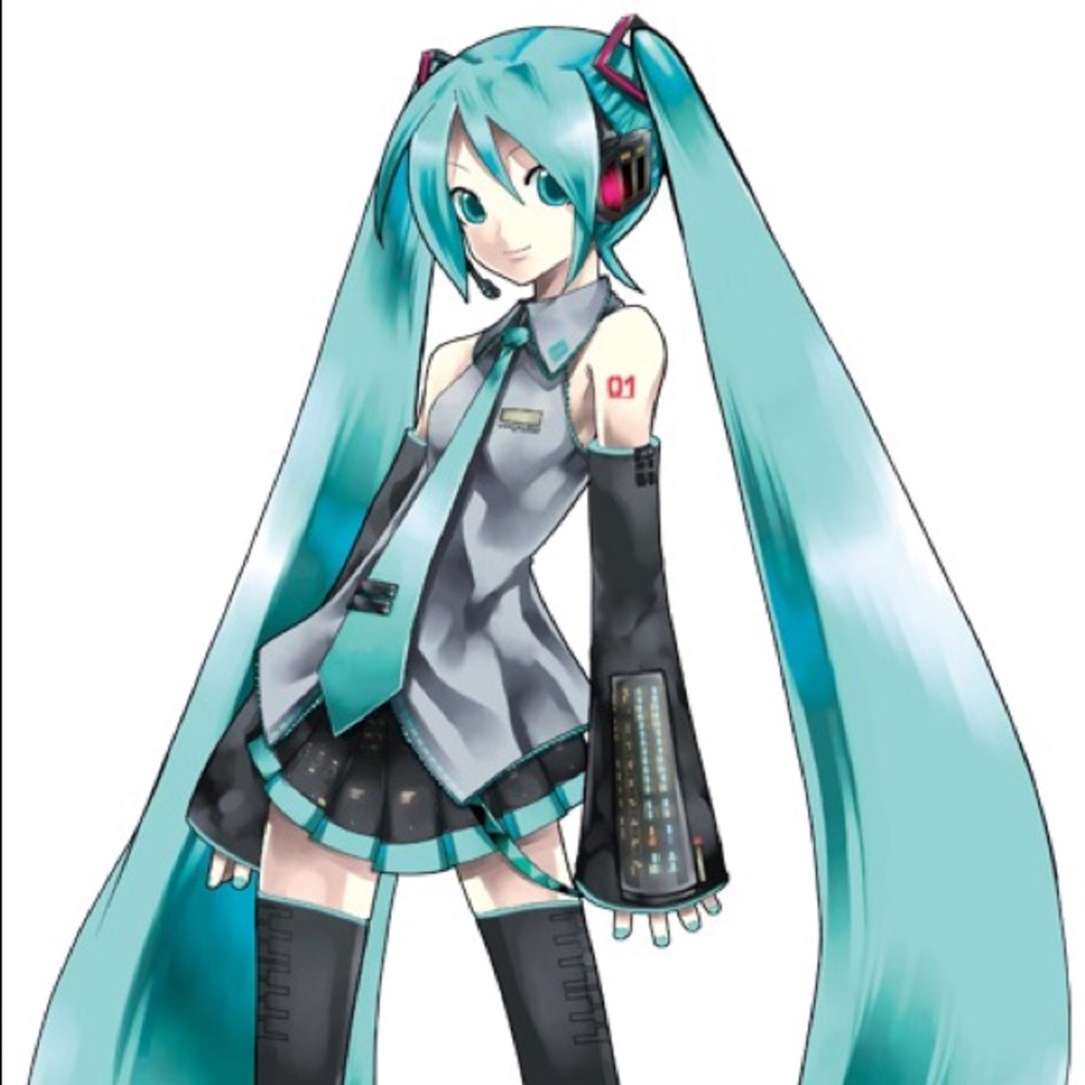 Hatsune Miku Costume (DO NOT BUY TRADING WITHUSER)